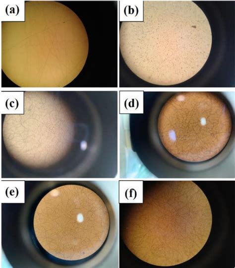 Figure 1 From Fabrication Of Polyvinyl Alcohol Graphene Nanosheet