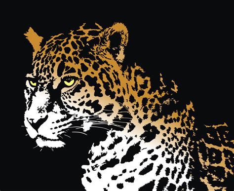 Jaguar Vector Art And Graphics