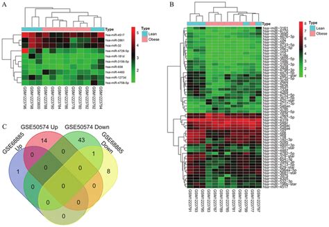 Differentially Expressed Exosomal Mirnas Were Identified Between The