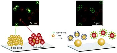 Core Satellite Assembly Of Gold Nanoshells On Solid Gold Nanoparticles