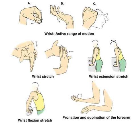 Best Wrist Exercise