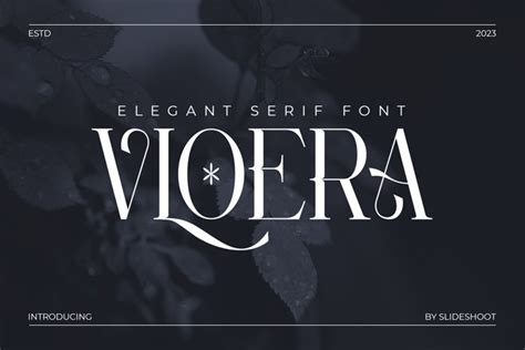 Vloera Elegant Serif Font