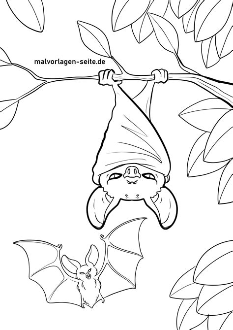 Coloring Bats Fledermaus Kostenlos Ausmalen Preschoolers Ausmalbild