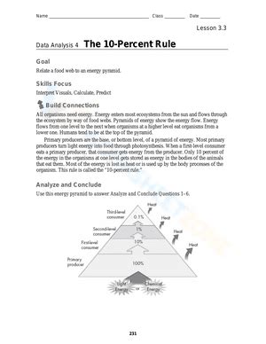 Free Printable Energy Pyramid Worksheets for Students