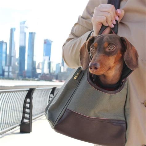 30 Discreet Dog Purse Carrier Options For Stylish Pups Hey Djangles