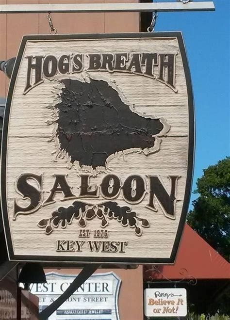 Hog's Breath Saloon - Key West | Key west, West, Novelty