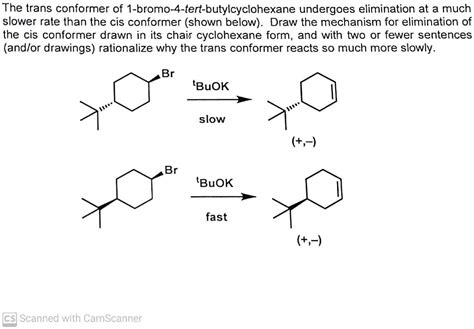 SOLVED The Trans Conformer Of 1 Bromo 4 Tert Butylcyclohexane