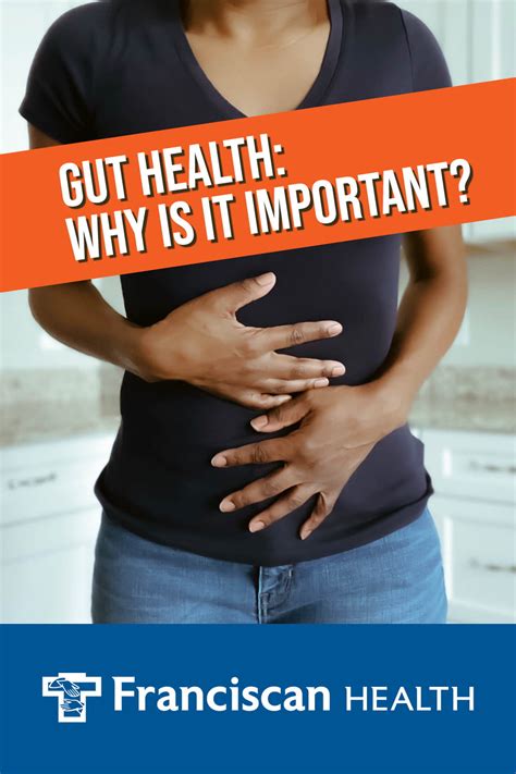 Gut Health Why Is It Important Franciscan Health