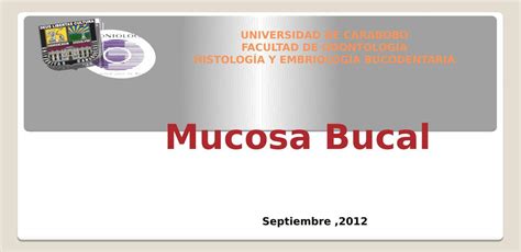 Mucosa Bucal Davis Udocz