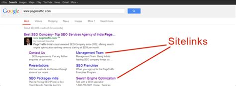 How To Control Google Sitelinks Display PageTraffic Blog All Thing