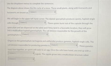 Solved Use The Dropdown Menus To Complete The Sentences The Chegg