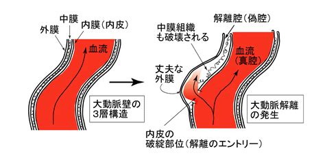 ★リンクテーブル★