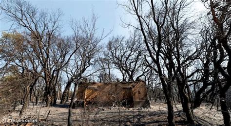 Beja Perigo máximo de incêndio rural em mais de 50 concelhos do