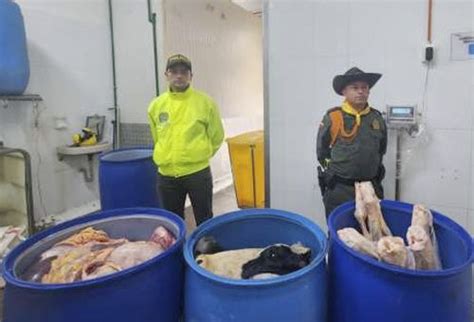 Autoridades Del Quind O Incautan Casi Media Tonelada De Carne