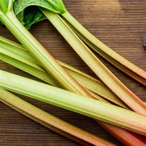 Green Rhubarb Seedle Farms