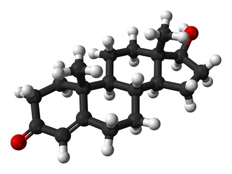 Filetestosterone From Xtal 3d Ballspng Wikimedia Commons