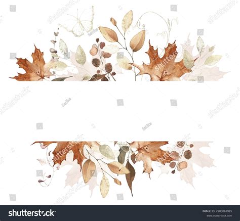 Watercolor Botanical Rectangle Frame Images Browse 1 504 Stock Photos