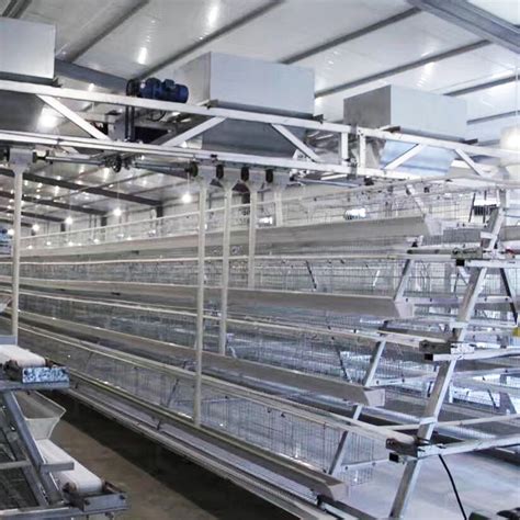 A H Type Layer Battery Cage Semi Automatic Chicken Poultry Farming