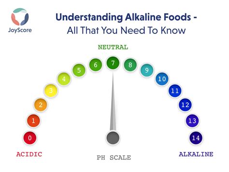 Alkaline Foods List All That You Need To Know Joyscore The Joy Of Self Care