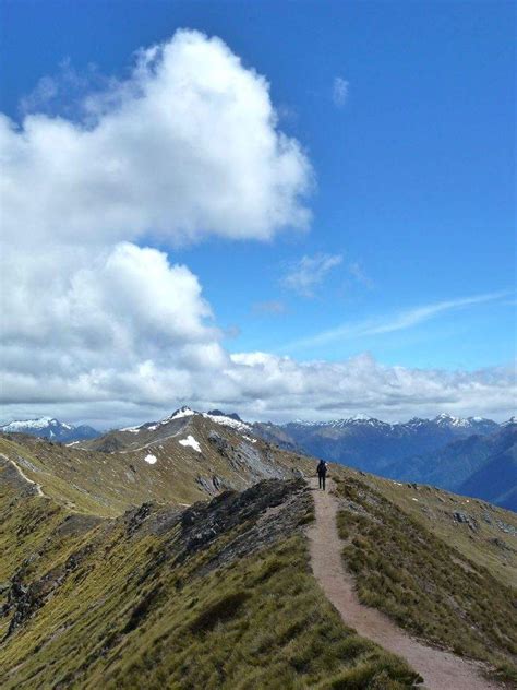 The best Fiordland National Park hiking trails - We12Travel