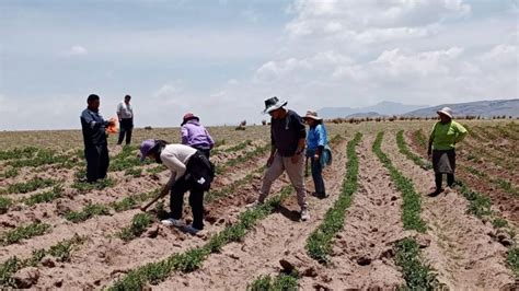 Fenómeno El Niño Más De Un Millón De Personas En Puno Y Tacna En