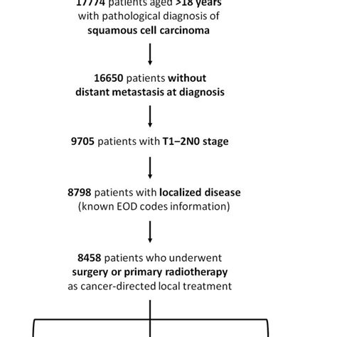 Patient Selection Process Flowchart Rt Radiotherapy Download