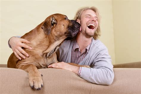 Hunde Menschen und das Glück Mensch und Hund heute