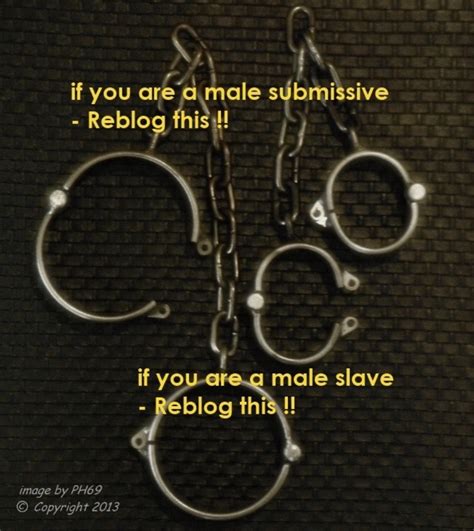 Gay Twink Bdsm On Tumblr