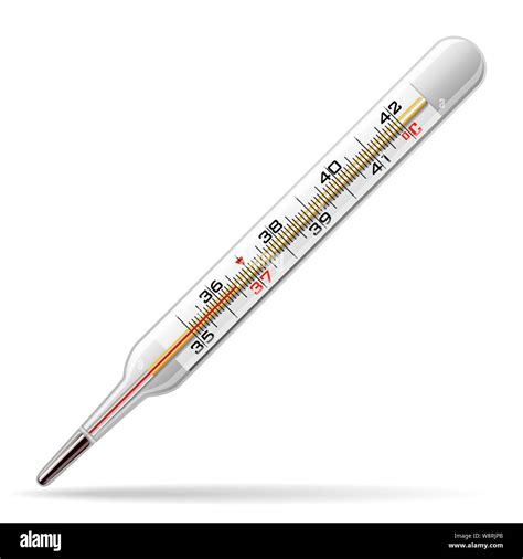 Thermometer Medical A Glass Thermometer For Measuring The Temperature Of The Human Body Vector