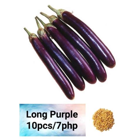 Long Purple Eggplant Seeds 10pcs Shopee Philippines