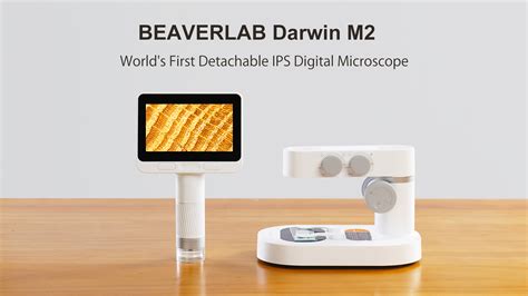 Beaverlab Darwin M The Detachable Usb Lcd Digital Microscope With