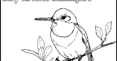 Ruby Throated Hummingbird Coloring Pages at GetDrawings | Free download