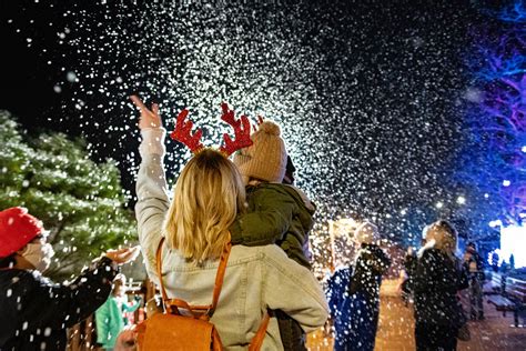 Winter City Lights | Outdoor Christmas Decorations Baltimore MD