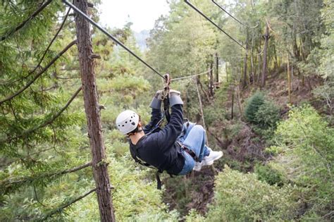 Tree Tops Zipline Tour | 7 Zip Lines & 2 Sky Bridges