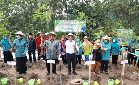 Pj Gubernur Banten Al Muktabar Luncurkan Gerakan Menanam Sejuta Pohon Kelor Harita Id