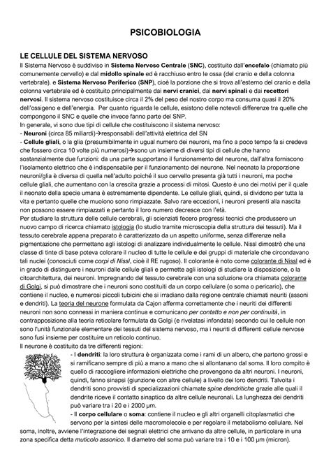 Psicobiologia Introduzione Warning TT Undefined Function 32