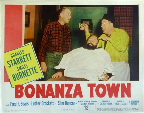 Bonanza Town picture