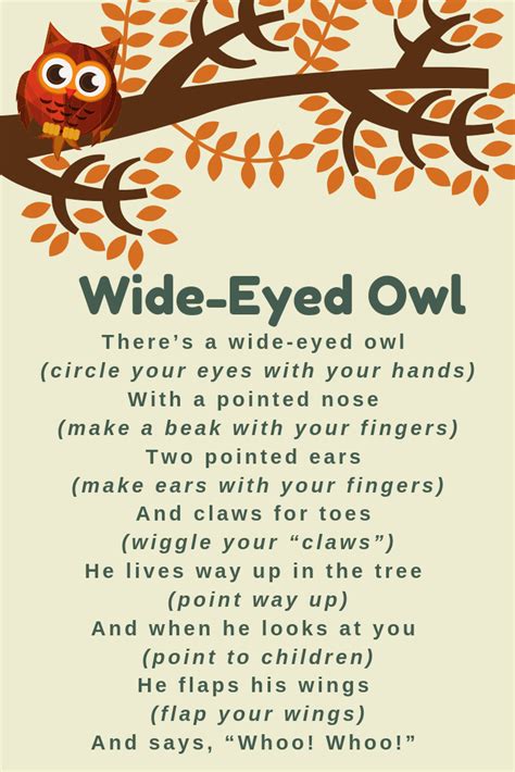 Wide Eyed Owl Storytime Rhyme Preschool Poems Preschool Songs