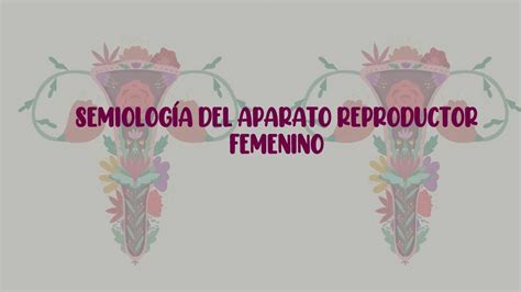 Aparato Reproductor Femenino Lilibeth Zambrano UDocz