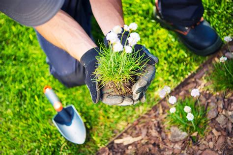 Luvas Para Jardinagem Dicas Para Escolher O Melhor Par