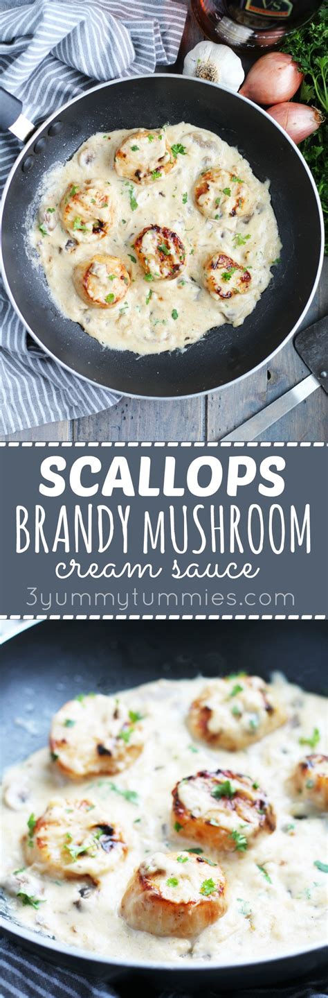 Scallops In Brandy Mushroom Cream Sauce 3 Yummy Tummies