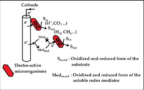 Figure 1 From Application Of Bioelectrochemical Systems And Anaerobic