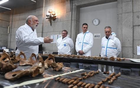 Pedro Sánchez Visita En El Valle De Cuelgamuros Las Labores De Exhumación De Las Víctimas Del