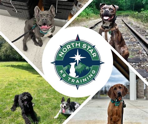 North Star K9 Training Knoxville Tn