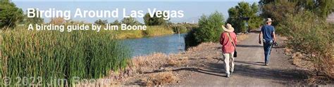 Birding Around Las Vegas Overview