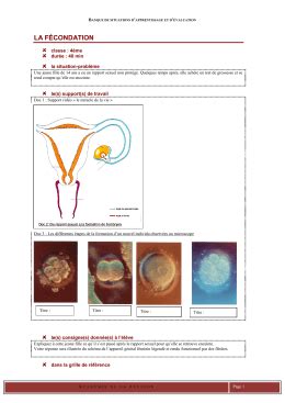 Fiche de révision de la fécondation à la naissance I L embryon