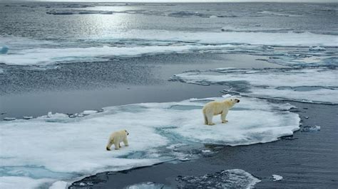 Estamos viviendo la primera crisis climática mundial de los últimos dos