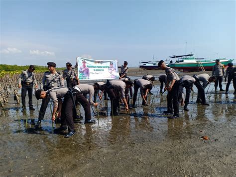 Polres Sinjai Lakukan Penanaman Pohon Mangrove Serentak Dalam Rangka