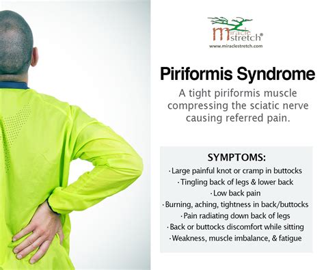 Piriformis Syndrome Symptoms Of Piriformis Syndrome | The Best Porn Website