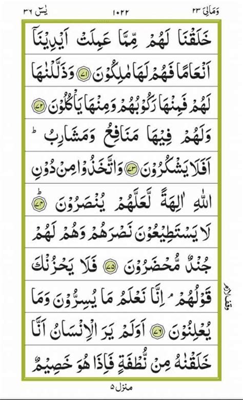 Surah yaseen arabic recitation - nutsbilla